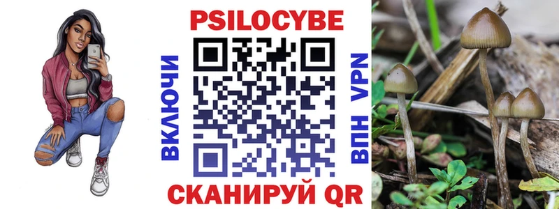 Купить  Карабаш  Псилоцибиновые грибы Psilocybe 